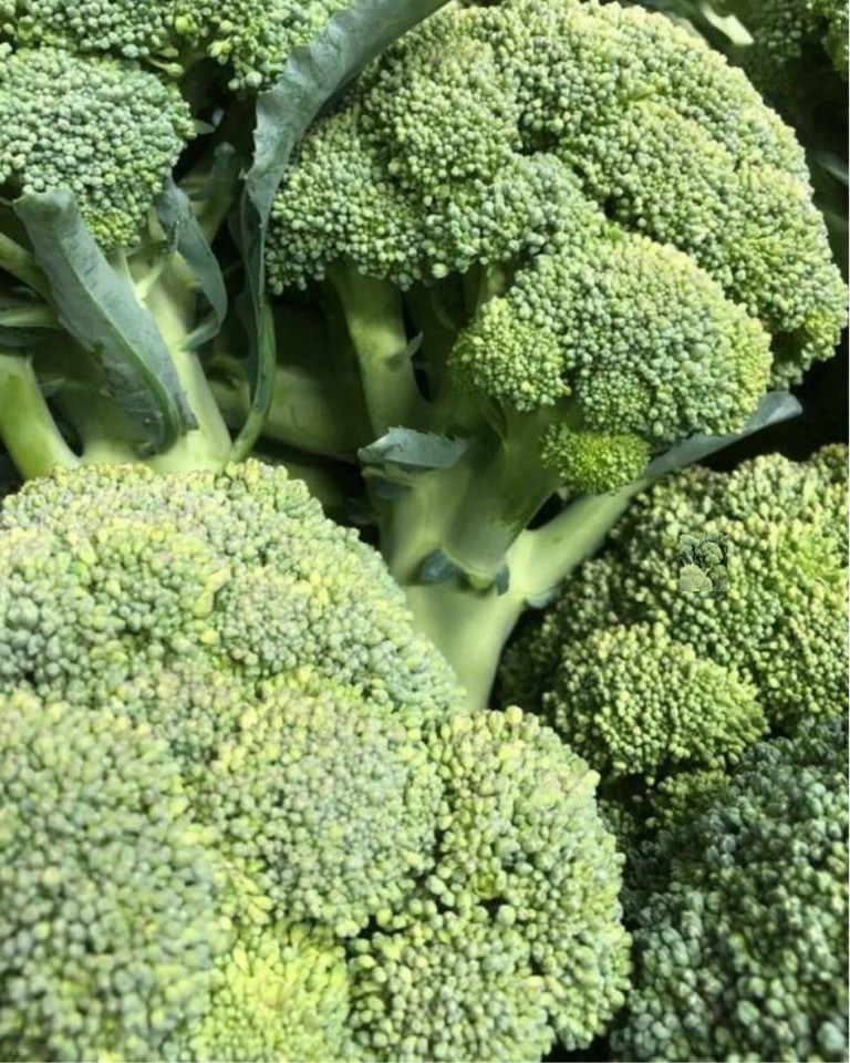 Broccoli, ECO, 1 buc, cca 400g