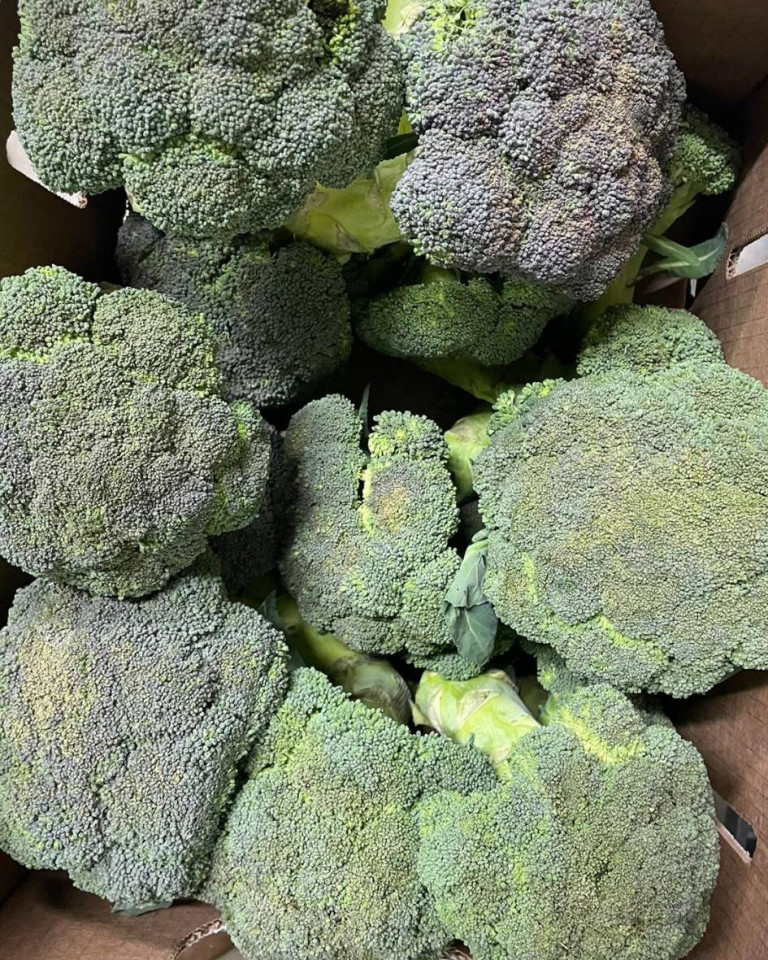 Broccoli, ECO, 600g (SVM)
